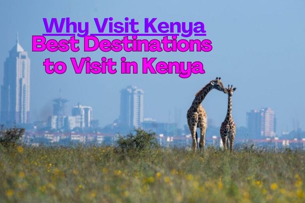 Best Destinations to Visit in Kenya